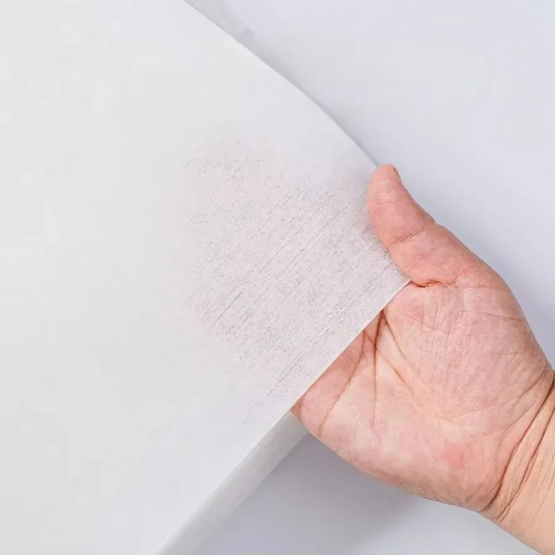 50 stuks/100 stuks 20*24cm weg - Spa Towel recensie en prijs