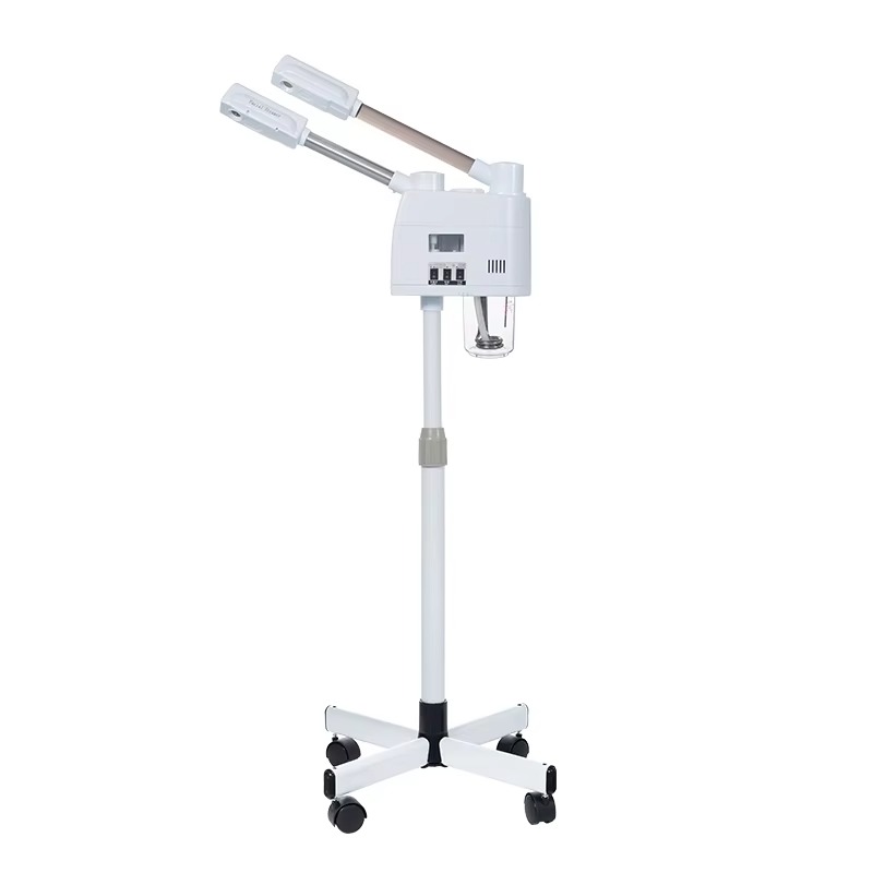 Witte 2-in-1 warme en koude ge - Face Steamer recensie en prijs