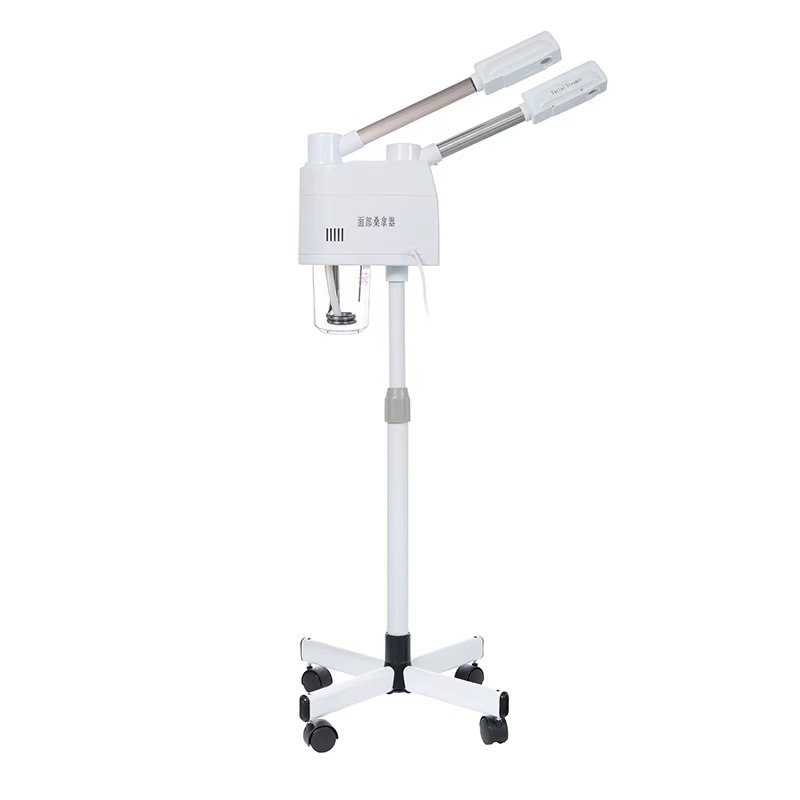 Witte 2-in-1 warme en koude ge - Face Steamer recensie en prijs