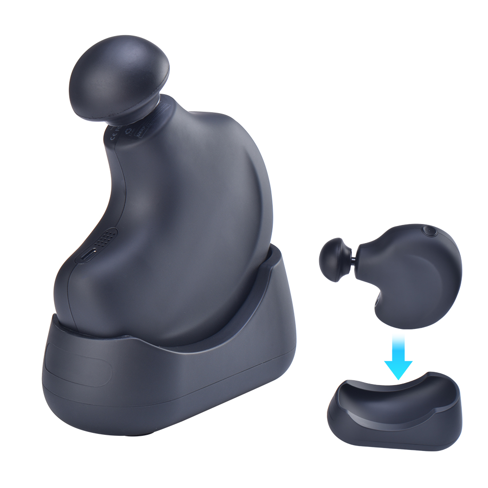 RTS Hoge Kwaliteit Professione - Massage Gun recensie en prijs